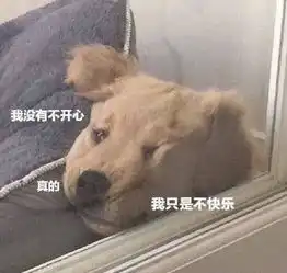 聊天专用的搞笑表情我没有不开心,真的,只是不快乐