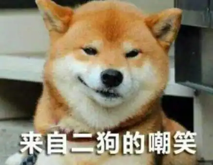 柴犬五宗罪想养柴犬的,先问你敢不敢