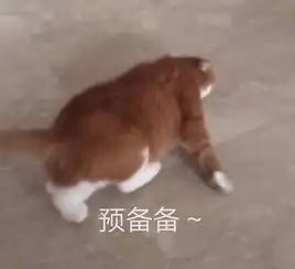 体育学院迎新篇弘扬体育精神,凝聚奋进力量
