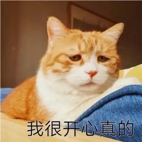 沙雕表情我很开心真的