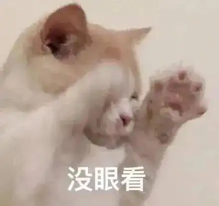 大骨架的显瘦穿搭思路照着穿就完事儿