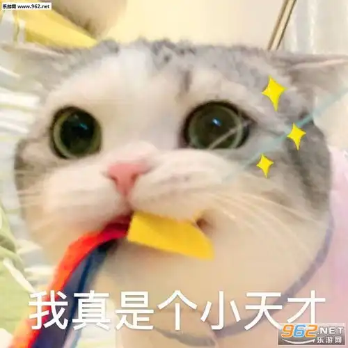 小恐龙吃人然后变成我们表情包我真是个小天才表情包下载乐游网游戏下载