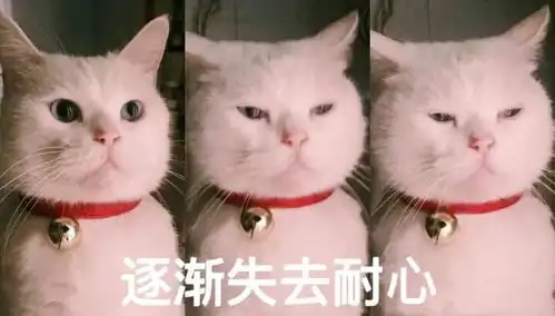 别再消费女孩了,ok