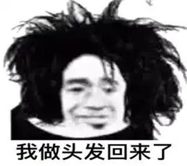 表情包你老婆去做头发了而且她还去学了说唱