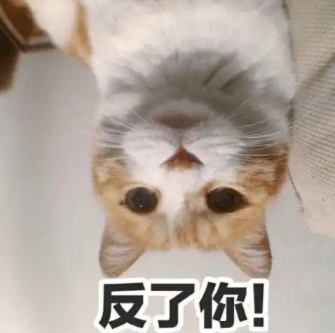 第76期喵表情自从铲屎的养了俩猫,家里每天上演甄嬛传...