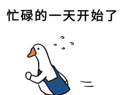 在纷纷扰扰的世界里找平衡找浪漫找到自己
