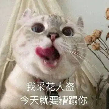 神剧吐槽之娘道爷爷辈眼中的罗曼蒂克爱情史