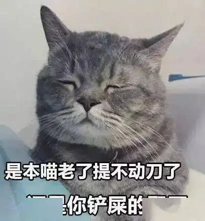 宠物医院推荐猫狗绝育的真实目的,学习了