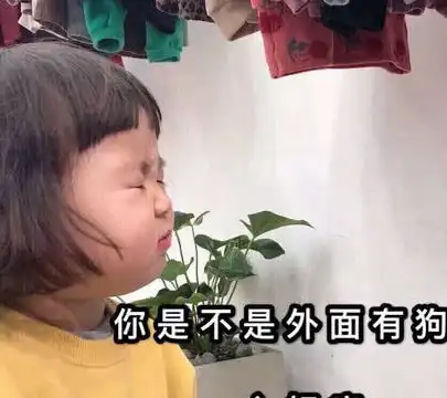 最近火了要钱表情包可以用一个亲亲抱抱,换一点零花钱吗