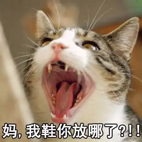 妈明早不要叫我了啊