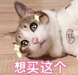 榜单2019年上半年最热新包top50,你有多时髦就看它了