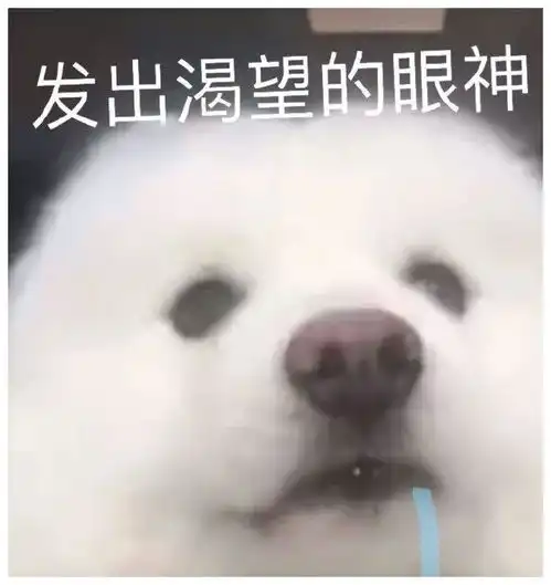 表情包丨老娘真可爱嘤嘤嘤嘤