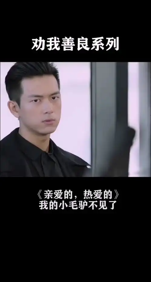 佟年的小毛驴不见了,韩商言你看到了吗