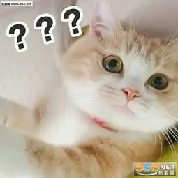 敲可爱表情包带字系列猫猫敲可爱表情包下载乐游网游戏下载