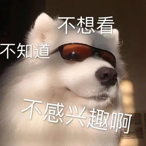表情包做我女朋友吧