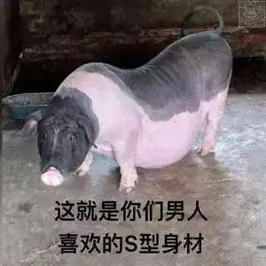 表情包哥哥你逃不掉了