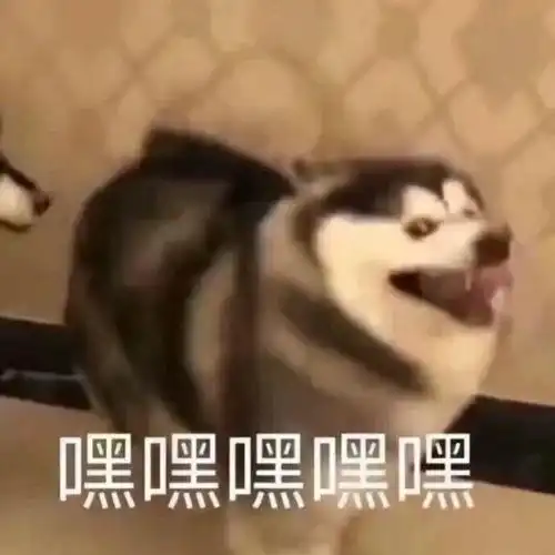 你们女人根本不懂男人,有对象的男人也看片