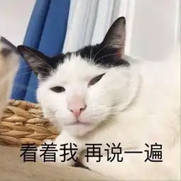 一只猫表情包很萌