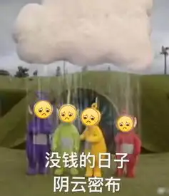 拼多多为何能崛起成为中国第二大电商平台