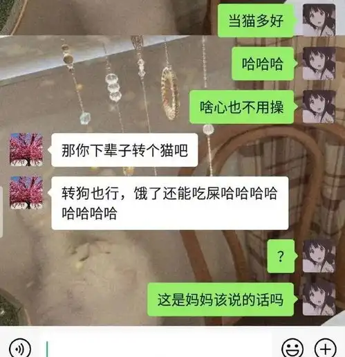 和爸妈聊天,他们的回复也太狂了吧哈哈哈哈简直叛逆