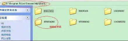 为什么我的qq聊天时没有默认表情,上其它qq又可以显示我重装过也不行