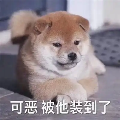 最新出炉超级搞怪的微信表情大全被指到的人替我上班