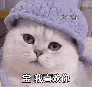 每日沙雕表情包