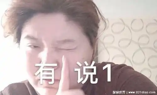 计算机程序漏洞用英语怎么说,网络用语bug是什么意思,中文翻译是虫子指电脑程序漏洞...