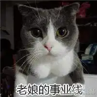 女生专属喵星人带字的表情包喵星人可爱萌表情包