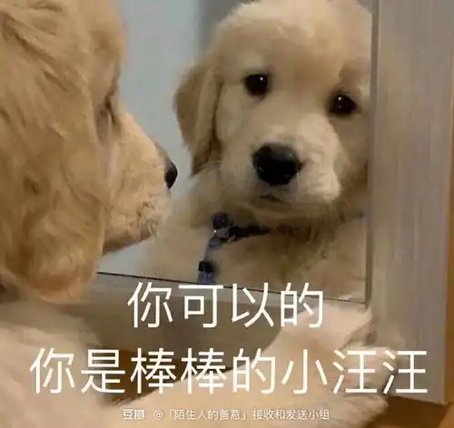 上班的摄影工作室最近生意太差,马上面临找新工作