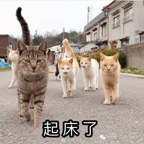 震撼