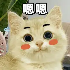 超萌小奶奶奶猫表情包,撒娇必备