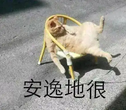 落羽杉红了,惊艳厦门冬日里的童话世界打卡走起