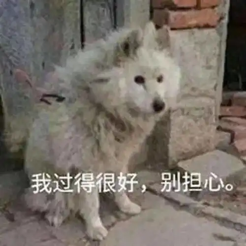 女团在前面唱跳,我在后面补钙