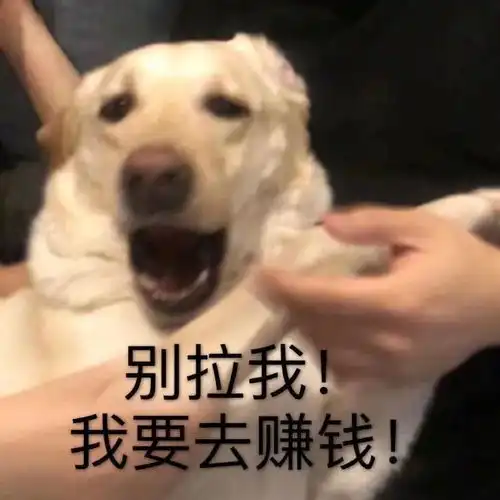 表情包可爱沙雕表情包32张