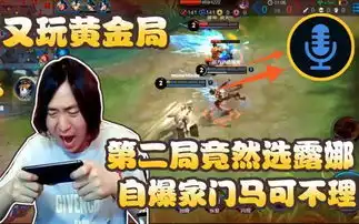 王者荣耀张大仙黄金局被队友坑到崩溃,钟无艳打出负战绩