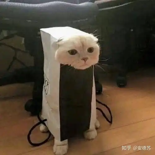 这个链接18岁以下不要乱点,或者在父母带领下观看