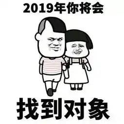 2019你将会表情包大全