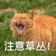 王者荣耀咆哮表情包打个游戏嗓子都要吼哑了