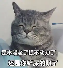 给猫做绝育之后,铲屎官都快成为戏精了