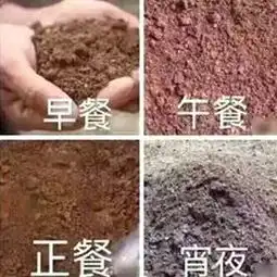 一套超实用的小技巧表情包,帮你回血