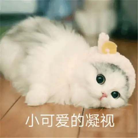 雅思考试