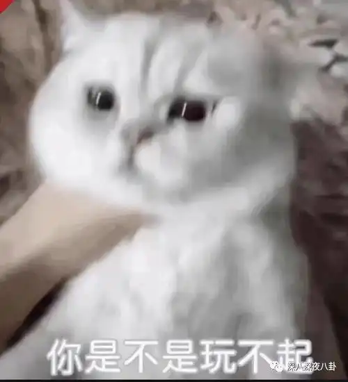 不怕戏精作妖,就怕戏精爱举报