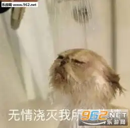 同归鱼尽的表情包泰拳警告表情包图片下载乐游网游戏下载