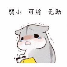 小册子商品等你来买