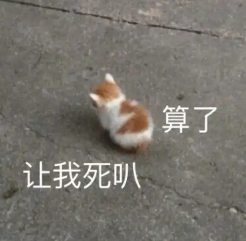 聊天斗图表情包丨甜心我来啦