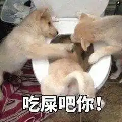 有没有类似这种比较可爱但是又口出狂言的表情包