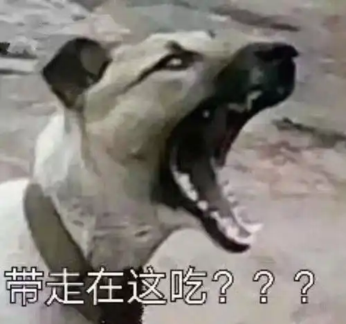 我和食堂大妈的日常