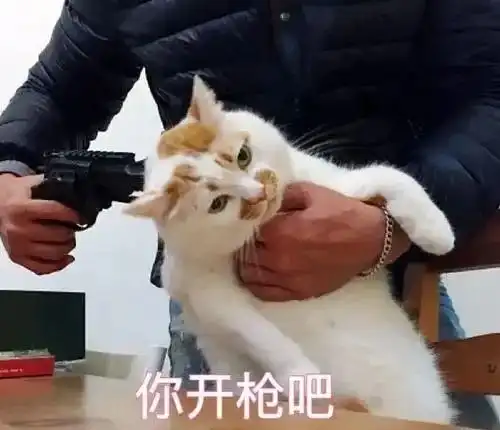 事业陪娃哪个重要大家吵翻了