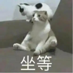 李涛,小众黑嗓打包安琪的前路如何